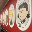 인핸스 커피(Enhance Coffee) | 훜오카 갈래말래