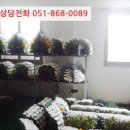 회성동101 이미지