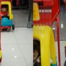 고기파마 이미지