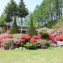 다락산장 이미지