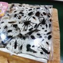 수안보농장 이미지