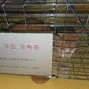 동물보육원 김해지부 이미지