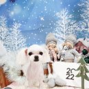 똘똘하개 이미지