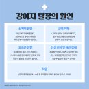 부곡동물병원 이미지