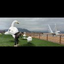 강진터미널마트 이미지