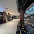 강촌식당 | [송파구 맛집] 서울 송파구 문정동 문정역 문정엠스테이트 닭갈비 맛집 '강촌식당' 후기!!!!