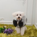 도담도담이발소 이미지