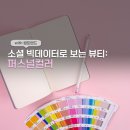 소셜 빅데이터로 보는 뷰티: 퍼스널컬러
