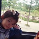 지효목장 이미지