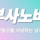 부사노바 이미지