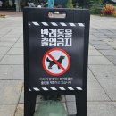 [경기 포천] 마이애니멀스토리 in 평강랜드 : 서울 근교 나들이 강력추천