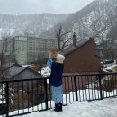 그린테라스
