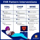 주성메디칼 | [권주형정형외과] 전자 태아 감시 장치(EFM, electronic fetal monitoring)