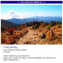 ♣10/12~13(목/금)지리산 아름다운 연화선경(거림~천왕봉~중산리) 이미지