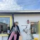 포코아포코(poco a poco) | 제주 애월 소품샵 “포코아포코(poco a poco)” 모루인형🧸 너무 귀여워😭
