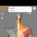 바디앤짐 신월2호점 이미지