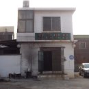 막창대세 이미지