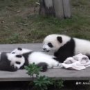 청두목장 이미지