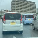 오이시타코 | 오키나와 여행 EP.2_ 잼스타코(국제거리) / 블루씰(휴게소)/ 이온몰&amp;다이소(세소코비치)