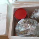 샬롬카센타 이미지