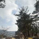 해미 | 내돈내산 솔직후기! 해미숲 카페 숲속뷰는 좋지만 아쉬웠던 점