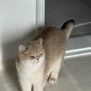 십이월칠일