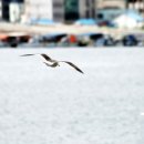 미래소아청소년과의원 이미지