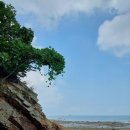 기암1리 이미지