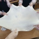 구례여자중학교 이미지