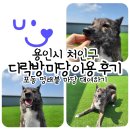 독테소리 네이버블로그