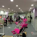 커브스문정클럽 | 커브스 순환운동 6개월 회원권 지르다!!!