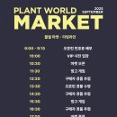 월드마켓