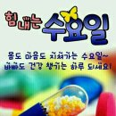 뽀꼬팡 이미지