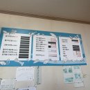 보목수산 | 서귀포맛집 바다나라횟집 자리물회 가성비 내돈내산 후기
