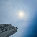 2022 K리그1 서울vs강원 이미지