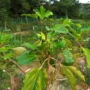 호범농장 이미지