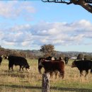 김기성 농장 이미지