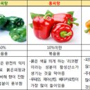 파프리카 이미지