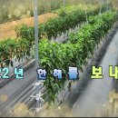 2022년 한해를 보내며 (제타비료 사용 농산물 재배) 이미지