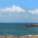 가래칠기 이미지