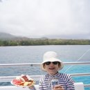 서해거북이주유소 | 괌 돌핀크루즈 준비물 복장 가격 멀미 날씨 총정리! 비오는날 돌고래 못 본 후기