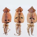 경미해장국 | 강릉에서 먹고 자고 먹고 자고 | 단풍 막차 탄 화담숲 🍂🍁