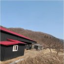 자연펜션 네이버블로그