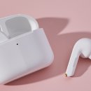 버즈 카카오 검색결과