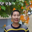 선물같은오늘 - 청주시 서원구 | 선물같은오늘