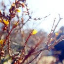 서해에서아침을 이미지