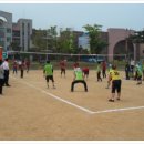 성거초등학교 이미지