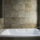 벵디1967 이미지