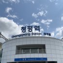 별빛누리캠핑장