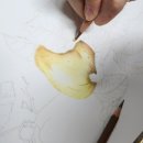 색연필로 그리는 꽃, 보태니컬 아트 | 색연필로 그리는 그림 / 보태니컬아트 / 취미 미술